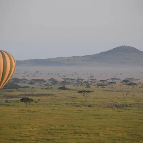 Hot-air balloon safari