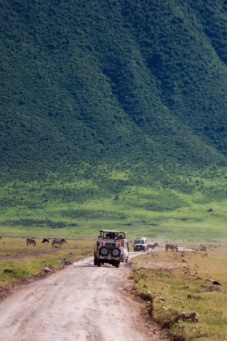 3-Day Serengeti & Ngorongoro Classic Safari from Zanzibar