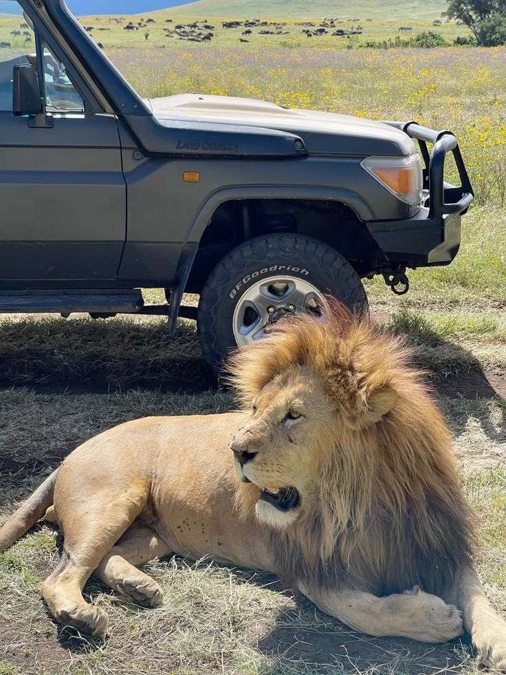 6-Day All Inclusive Luxury Safari