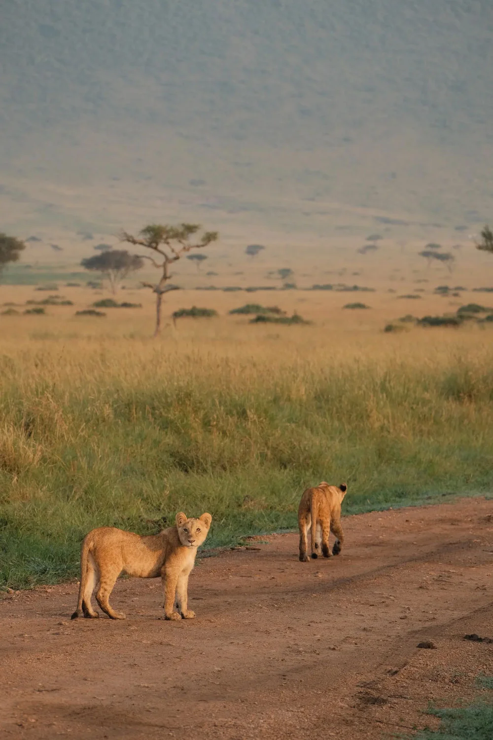 4-Day Wilderness Luxury Safari